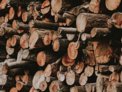 Surendra K. Midda Timber Merchants